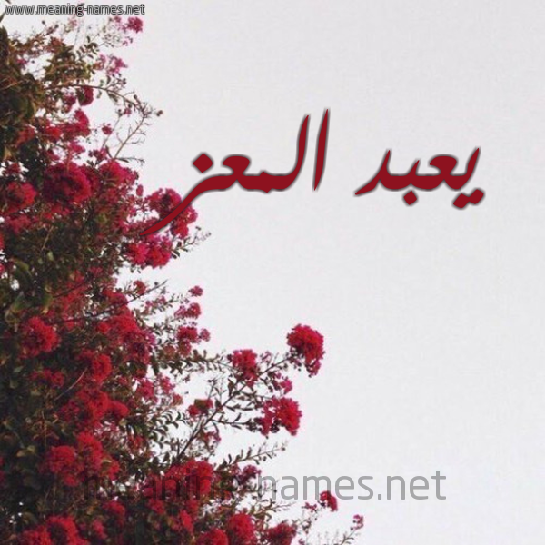 شكل 18 صوره الورد الأحمر للإسم بخط رقعة صورة اسم يعبد المعز Abd-El-Mouiz